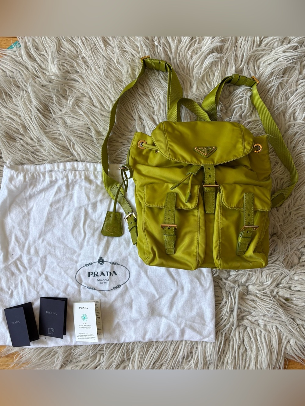 Prada Re-Edition 1978 Small Re-Nylon Tessuto Fern Green Backpack EUC - Picture 3 of 16